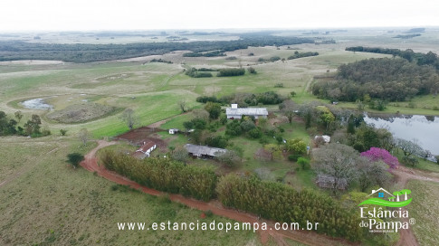 DA VARZEA ATE O GADO NA COXILHA.00_02_45_28.Quadro030_9164a1e00777007aab50216c55355c019774d758.jpg